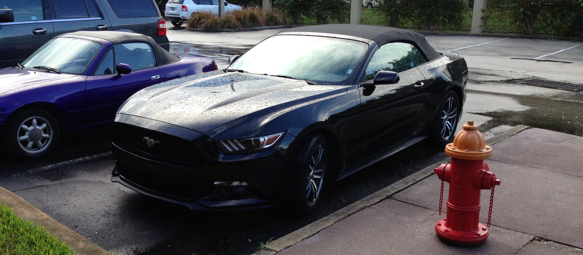 Zwarte Ford Mustang cabriolet